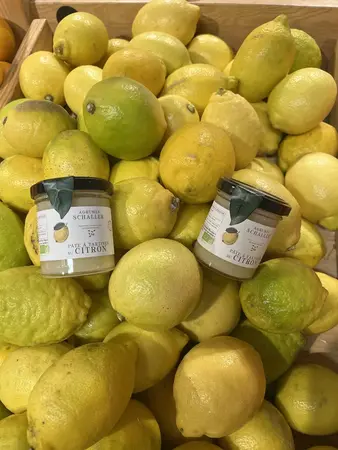 NOUVELLE EXPOSITION DU PHOTO CLUB DE PRADES: Agrumes Schaller NOUVELLE EXPOSITION DU PHOTO CLUB DE PRADES: Agrumes Schaller